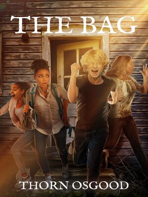 cover image of The Bag
